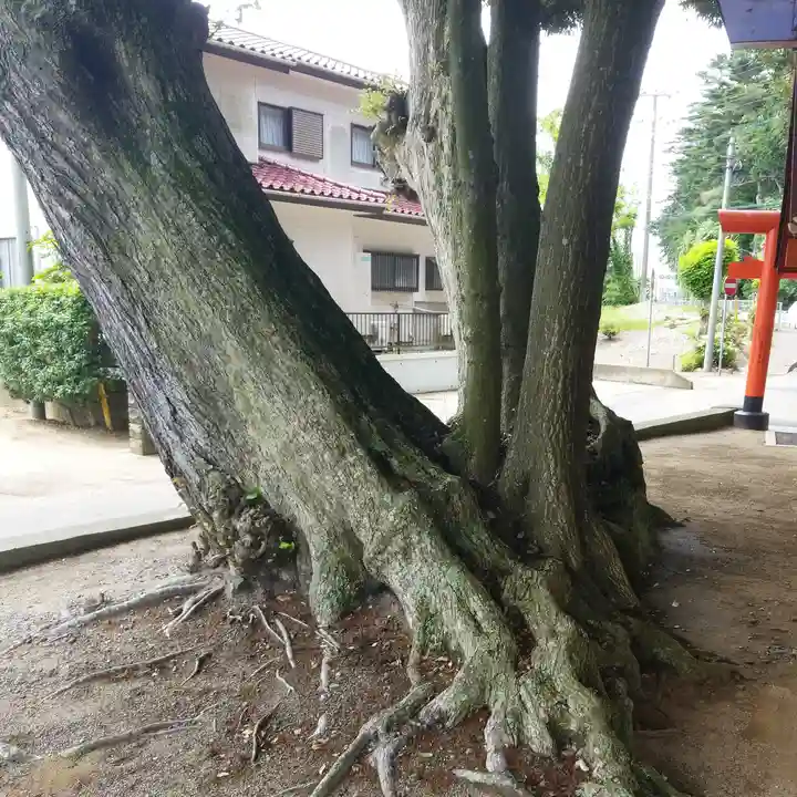 道路衢神のその他建物