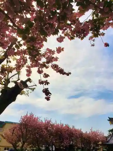 荘厳寺(東京都)