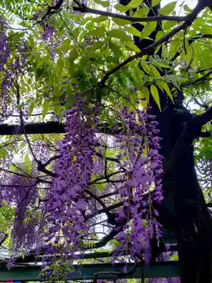 國領神社(東京都)