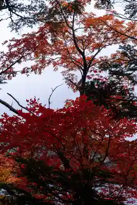 大瀧神社(長野県)