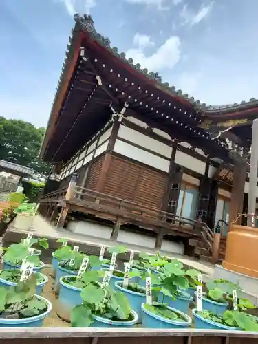 善導寺(福島県)