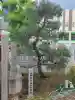 鵲森宮(大阪府)