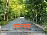 賀茂御祖神社(下鴨神社)の景色