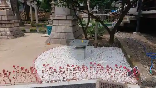 高円寺氷川神社の庭園