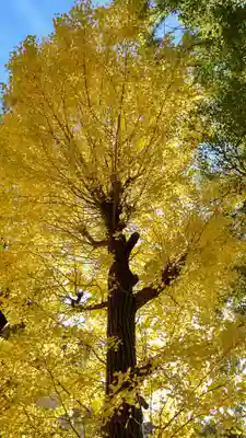 津嶋部神社(大阪府)