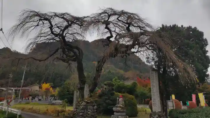 長泉院(埼玉県)
