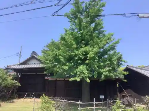 常泉院のその他建物