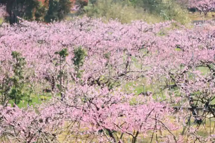 八坂神社(和歌山県)