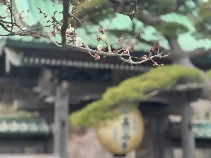 長谷寺(神奈川県)