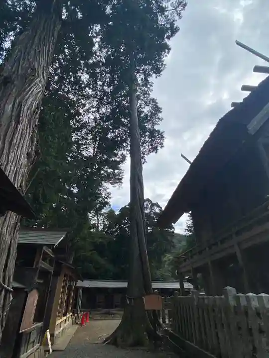 豊受大神社(京都府)
