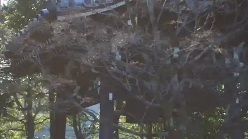 廬山寺（廬山天台講寺）(京都府)