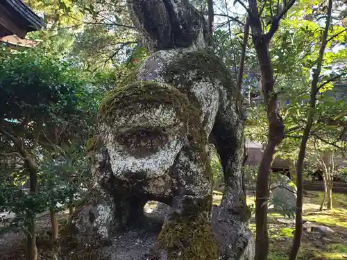 大野湊神社の狛犬