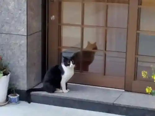 小野八幡神社の動物