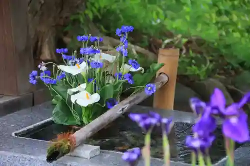 高司神社〜むすびの神の鎮まる社〜の手水舎