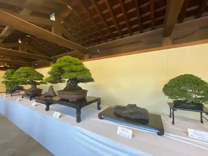 明治神宮(東京都)