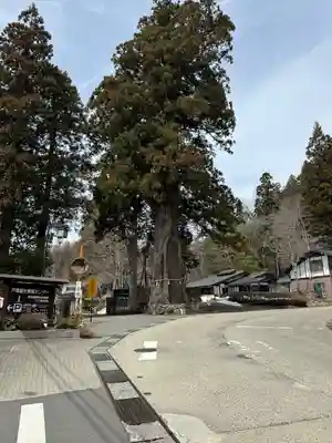 戸隠神社中社(長野県)