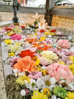 金井神社の手水舎