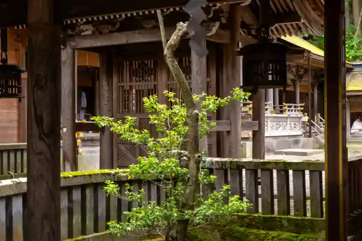 諏訪大社(長野県)