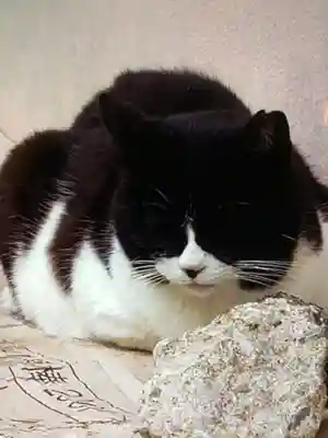 白金氷川神社(東京都)