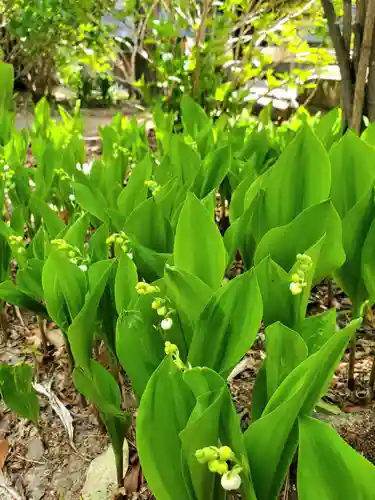 開成山大神宮の自然