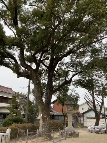 本莊神社(岐阜県)