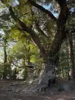 大井香取神社(千葉県)