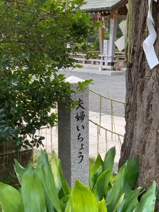 亀ケ池八幡宮のその他建物