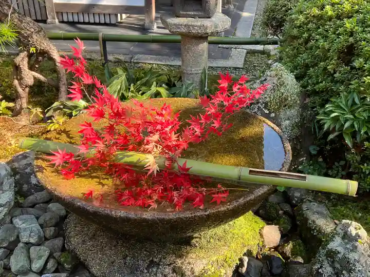 圓光寺(京都府)