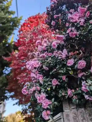 穏田神社(東京都)