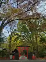 河合神社(鴨川合坐小社宅神社)の鳥居