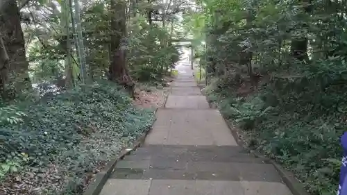 塚崎神明社(千葉県)
