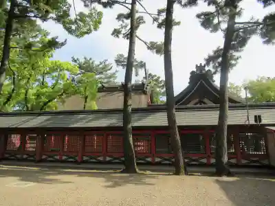 住吉大社(大阪府)