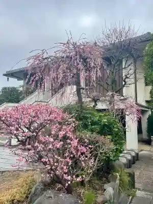 常泉寺(東京都)