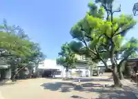 亀戸香取神社(東京都)