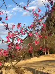 大生郷天満宮の自然