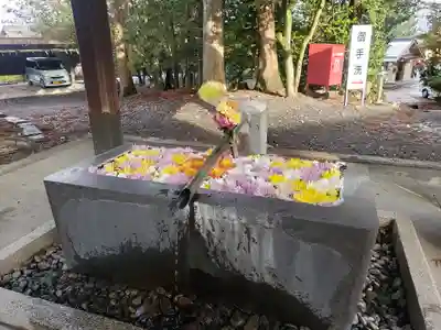 美濃國一宮　南宮大社の手水舎