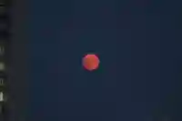 伊勢山皇大神宮の景色