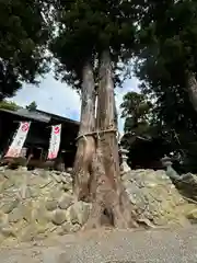 高司神社〜むすびの神の鎮まる社〜(福島県)