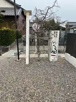 専長寺(愛知県)