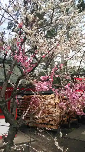 北野天満宮の庭園