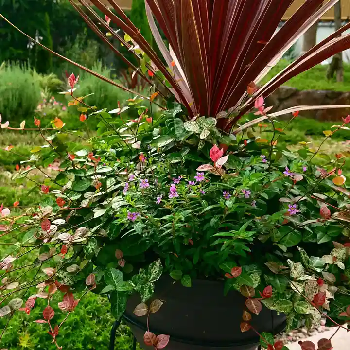 寿量山 速成寺の自然