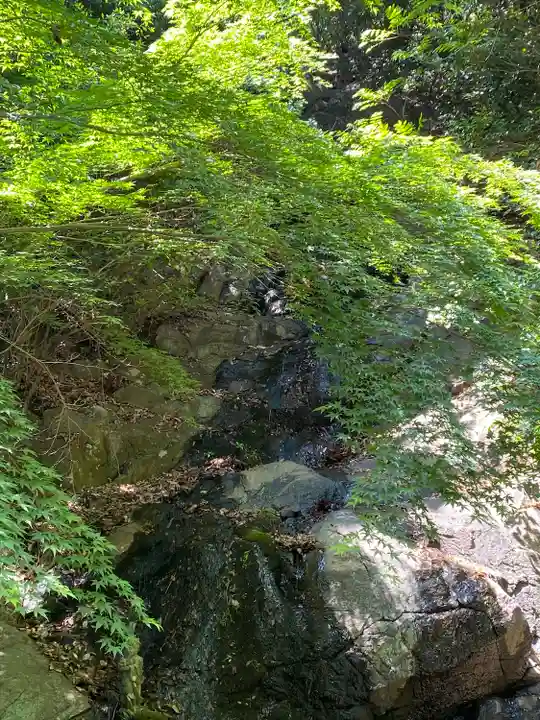 鳴滝不動の周辺