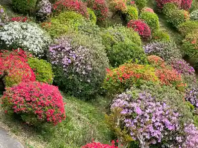 塩船観音寺(東京都)