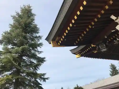 美瑛神社の本殿・本堂