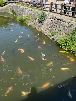 安倍文殊院 (奈良県)