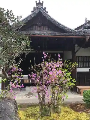一華院(京都府)