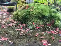 木舟山　順教寺の庭園