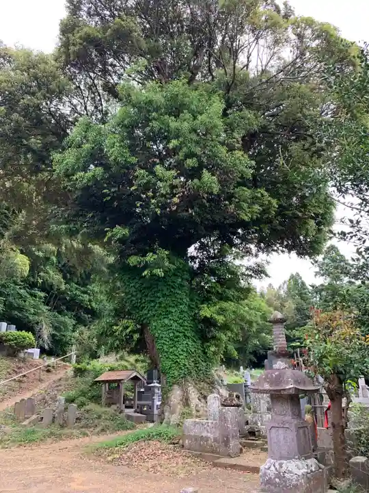 万福寺(千葉県)