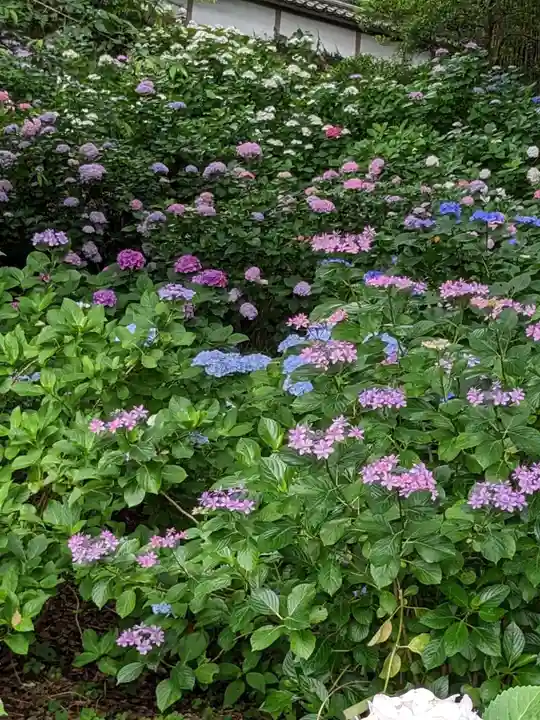 林叟院(静岡県)