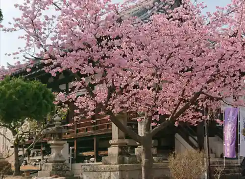 大乗山妙林寺(岡山県)